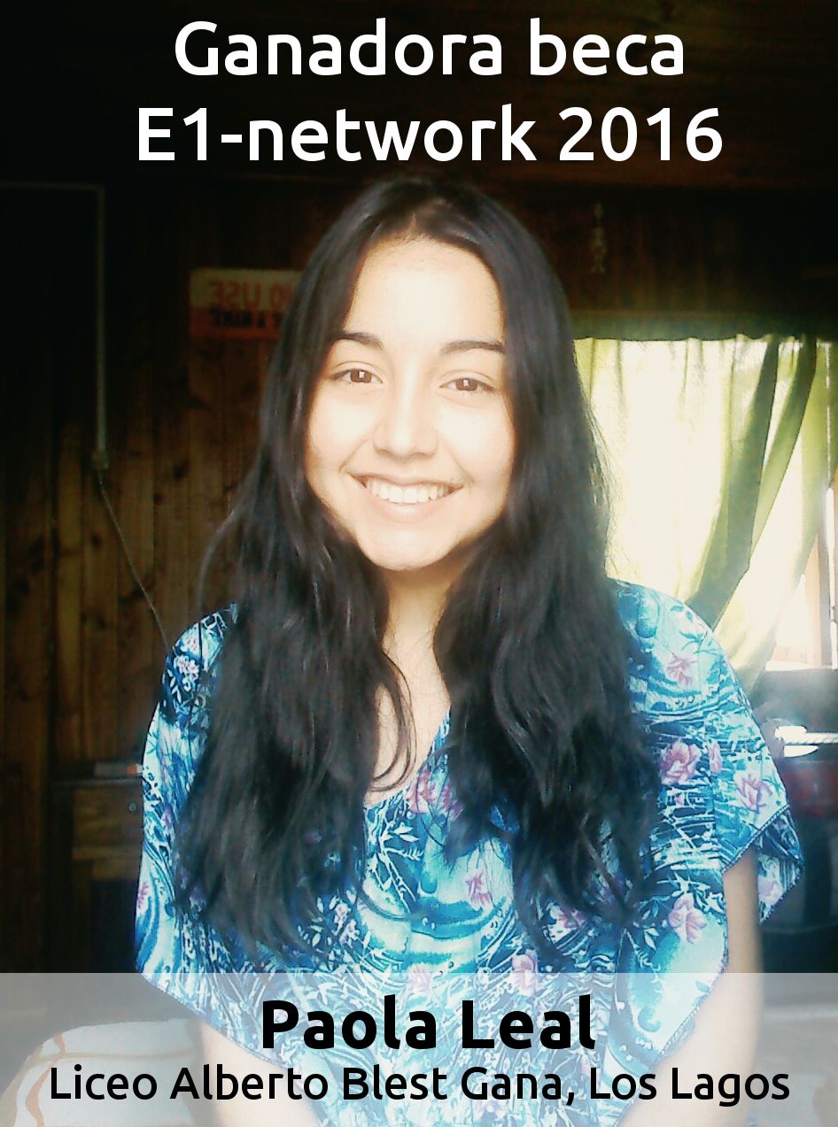 Beca e1-network.com 2016